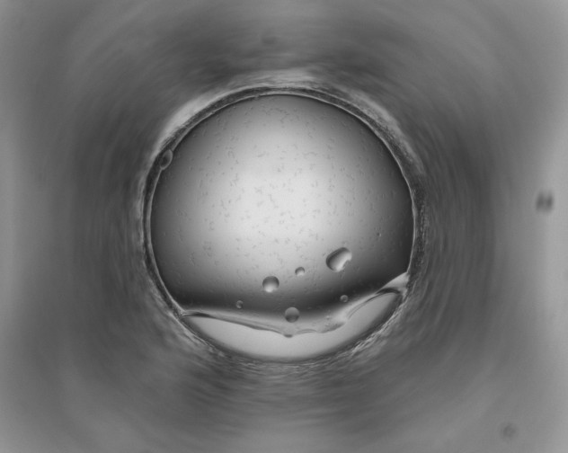 X0000096171176200802081404