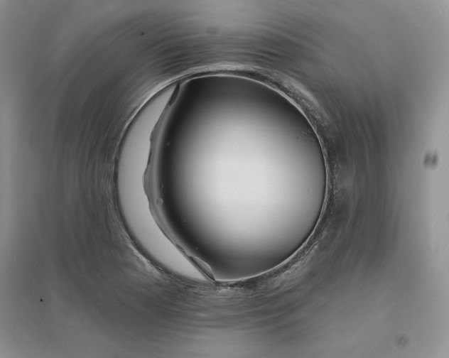 X0000096171177200802081404