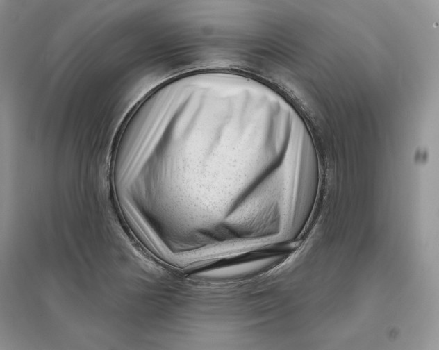 X0000096171178200802081404