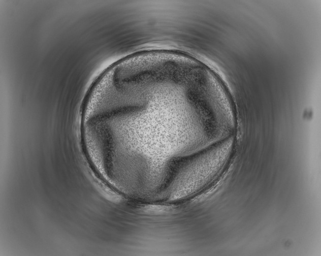 X0000096171179200802081404