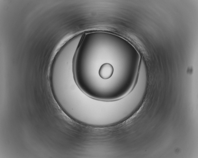 X0000096171180200802081404