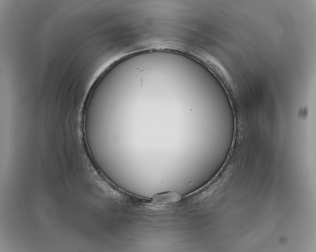 X0000096171182200802081404