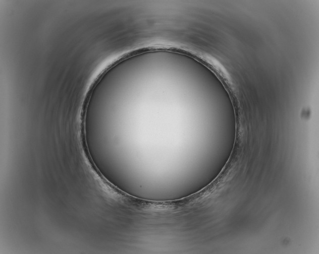 X0000096171183200802081404