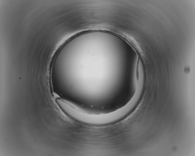 X0000096171184200802081404