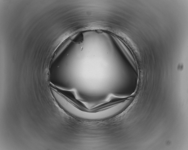 X0000096171185200802081404