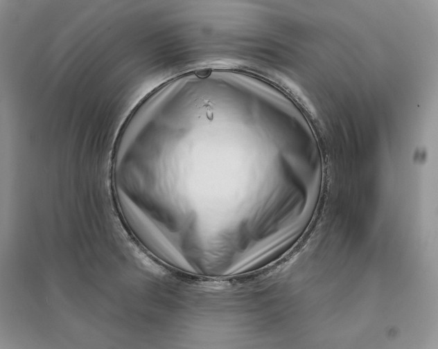 X0000096171186200802081404