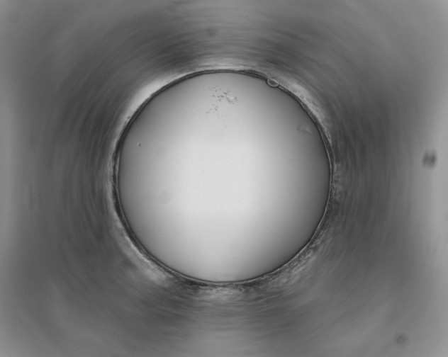 X0000096171187200802081404