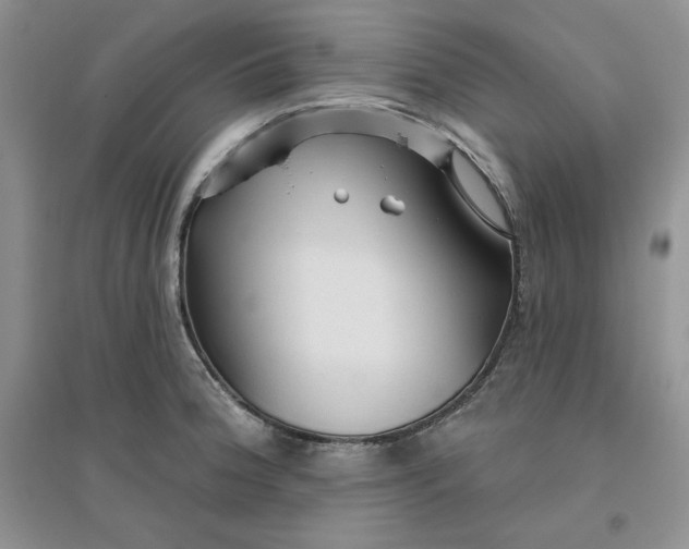 X0000096171188200802081404