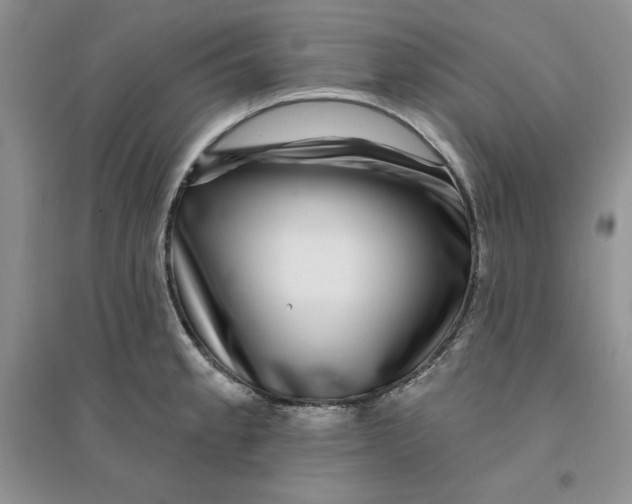 X0000096171189200802081404