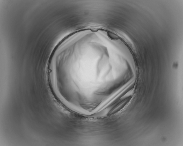 X0000096171190200802081404