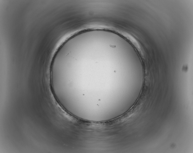 X0000096171191200802081404