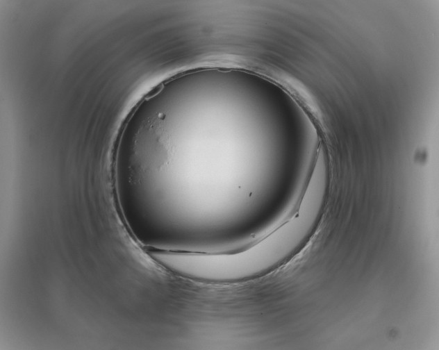 X0000096171192200802081404