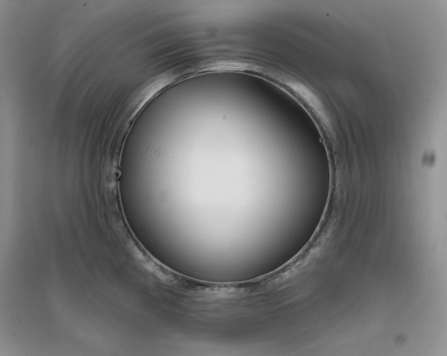 X0000096171193200802081404