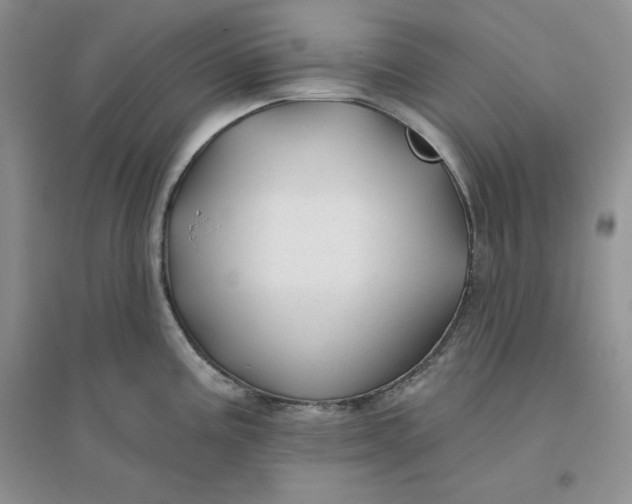 X0000096171195200802081404