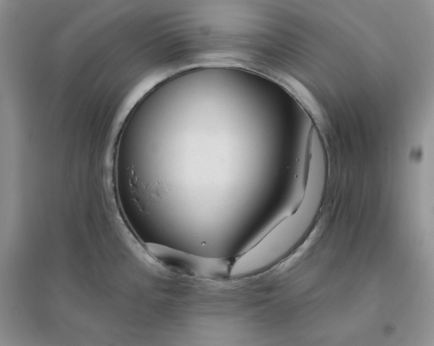 X0000096171196200802081404