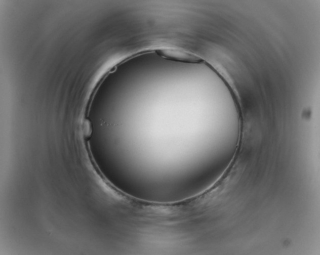 X0000096171197200802081404