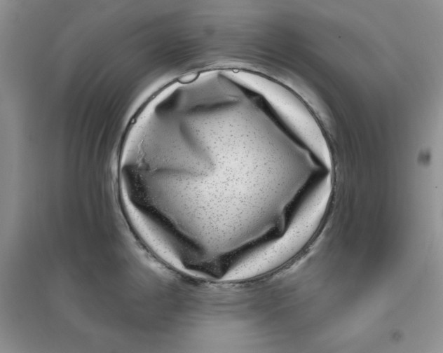 X0000096171198200802081404