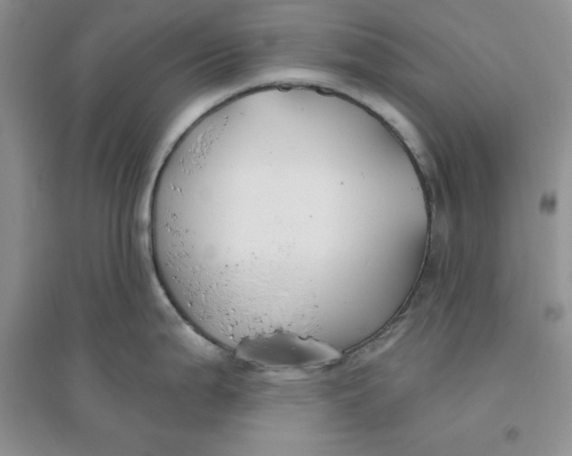 X0000096171199200802081404