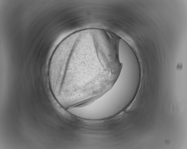 X0000096171200200802081404