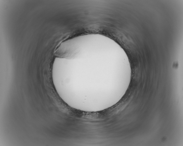 X0000096171201200802081403