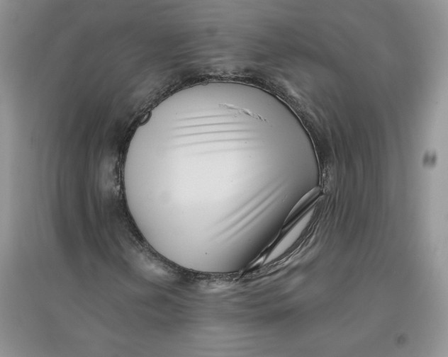 X0000096171202200802081403