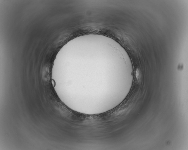 X0000096171203200802081403