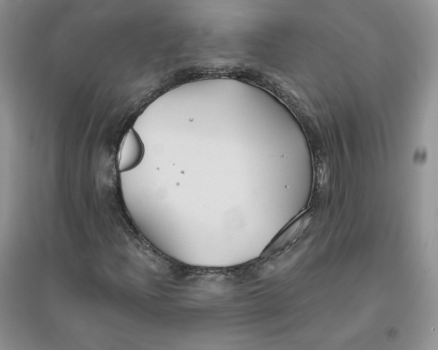 X0000096171204200802081403