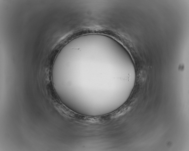 X0000096171205200802081403