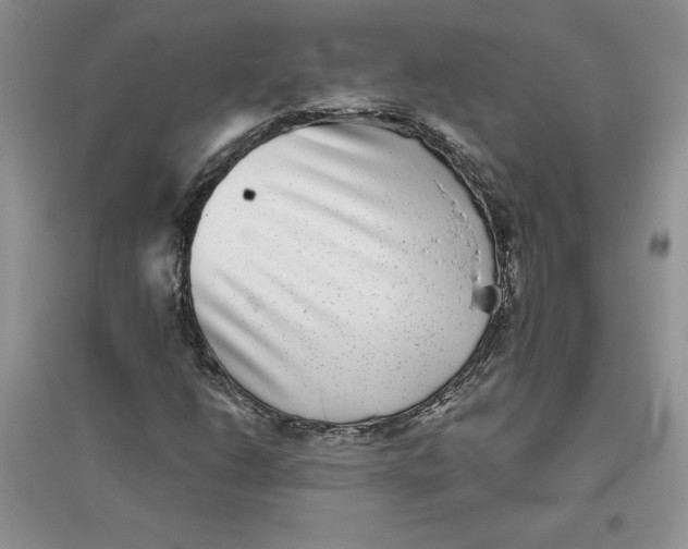 X0000096171206200802081403