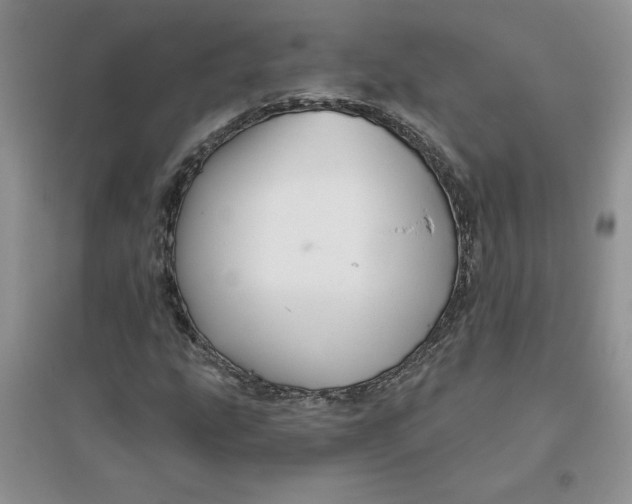 X0000096171207200802081403