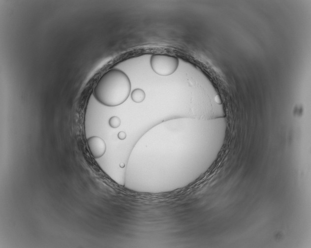 X0000096171208200802081403