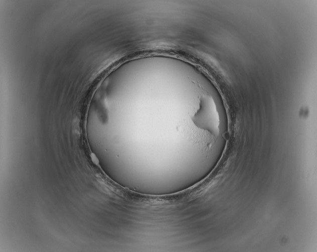 X0000096171209200802081403