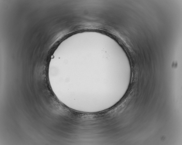 X0000096171211200802081403