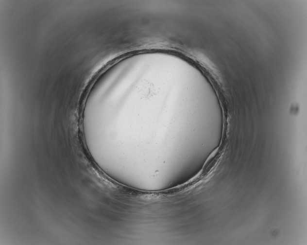 X0000096171212200802081403