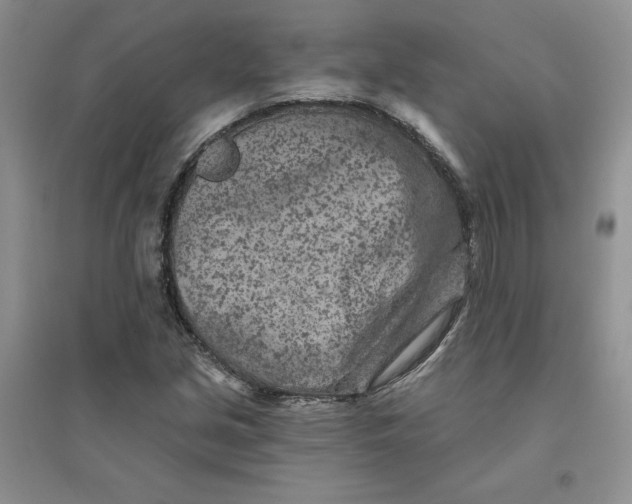 X0000096171213200802081403