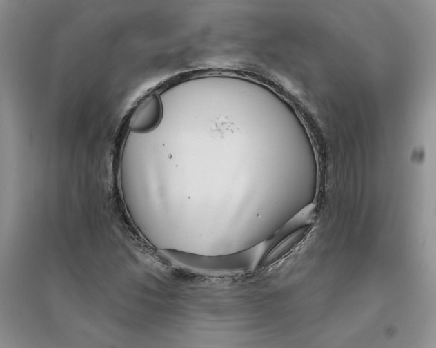 X0000096171214200802081403