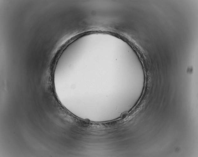 X0000096171215200802081403