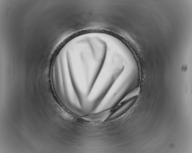 X0000096171216200802081403