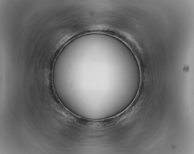 X0000096171217200802081403