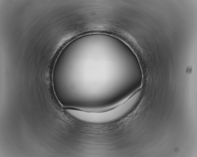 X0000096171218200802081403