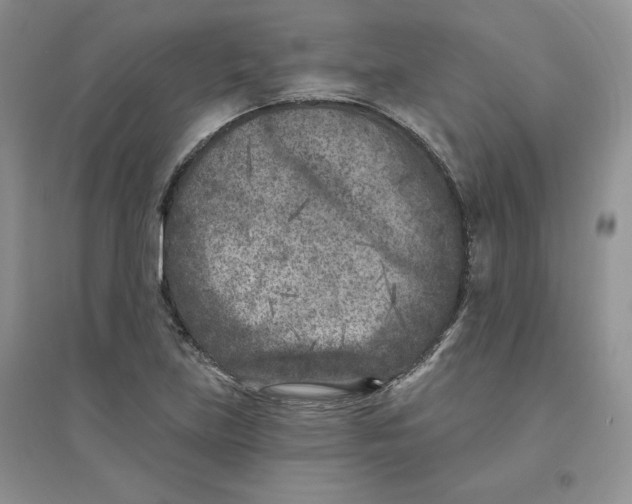 X0000096171219200802081403