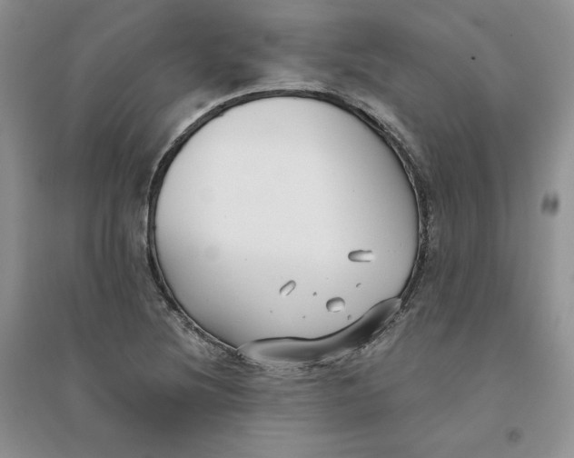 X0000096171220200802081403