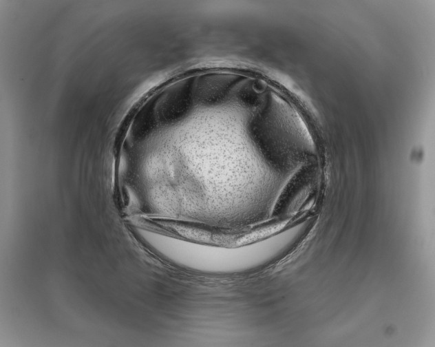 X0000096171221200802081403