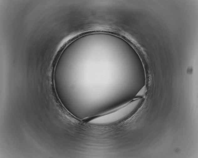 X0000096171222200802081403