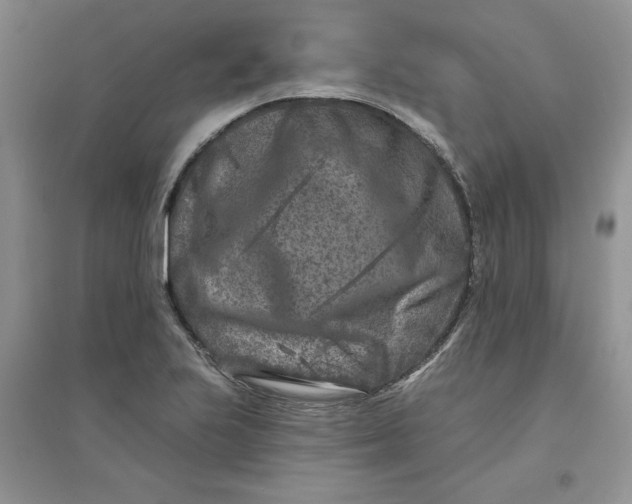 X0000096171223200802081403