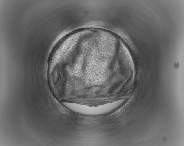 X0000096171224200802081403