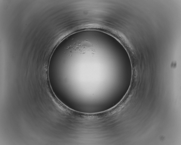 X0000096171225200802081403