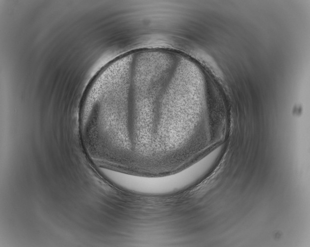 X0000096171226200802081403