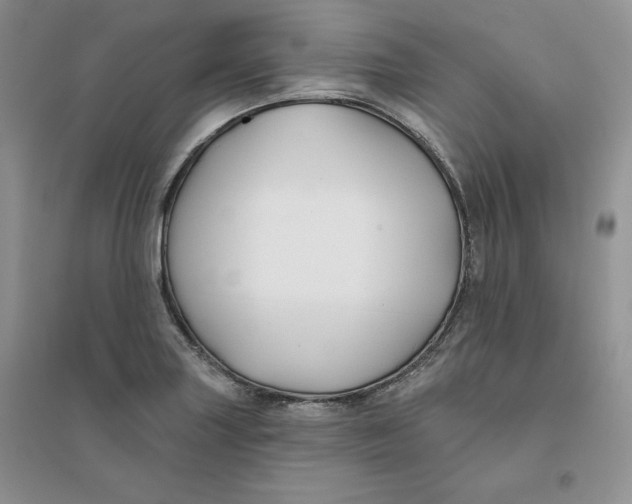 X0000096171227200802081403