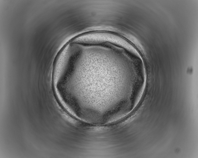 X0000096171228200802081403